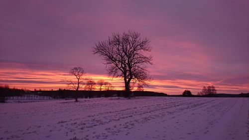 Scenic view of landscape against sky during winter