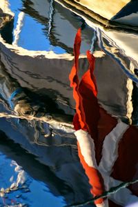 Close-up of tree against blue sky