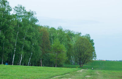 Scenic view of green landscape and trees against sky