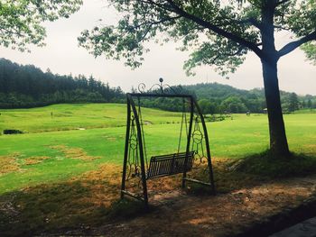 Empty bench on grassy field