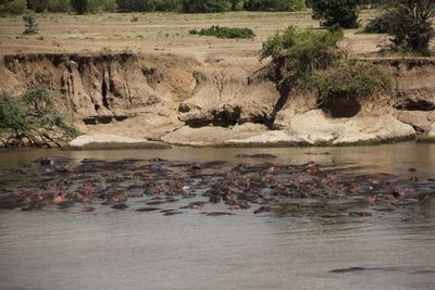 Scenic view of river