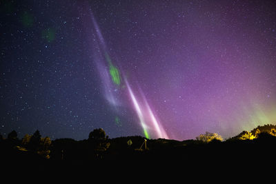 Low angle view of aurora polaris against sky at night