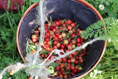 High angle view of cherries in basket