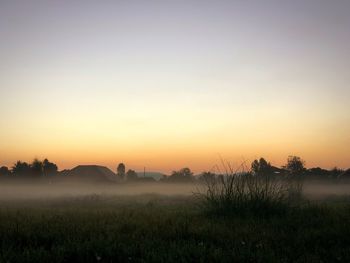 Scenic view of field against sky during sunset