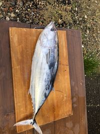 High angle view of fish on cutting board