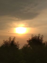 Low angle view of silhouette trees against orange sky