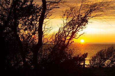 Silhouette trees by sea against sky during sunset