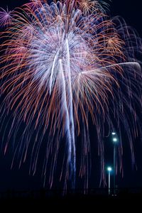 Low angle view of firework display at night