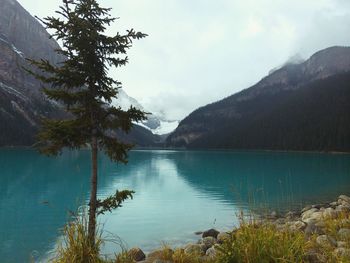 Scenic view of lake by trees against sky