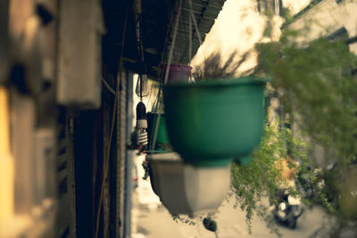 Close-up of plant hanging in row against building