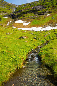 View of stream flowing through landscape