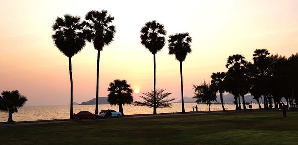 Silhouette palm trees on beach against sky during sunset