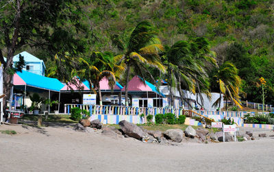 People on beach against trees