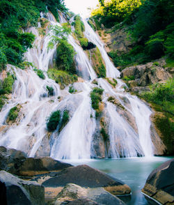 Scenic view of waterfall in forest