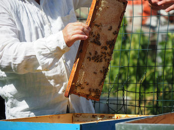 Midsection of man working at farm