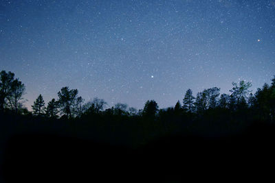 Silhouette trees against star field in sky