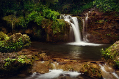 Scenic view of waterfall in forest