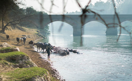 Bridge over river