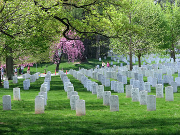 View of cemetery