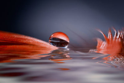 Close-up of water drops on ball