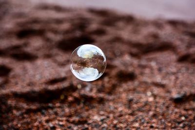 Close-up of bubbles