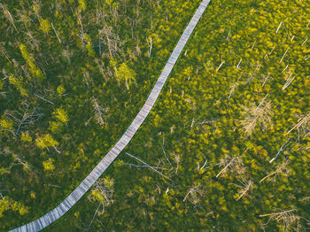 High angle view of boardwalk amidst grassy field