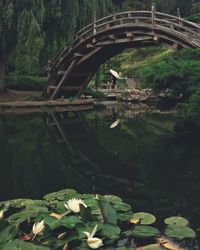 Scenic view of lake in forest