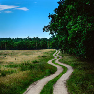 Road amidst trees against sky