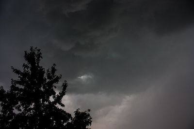 Low angle view of tree against cloudy sky