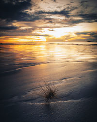 Scenic view of beach against sky during sunset