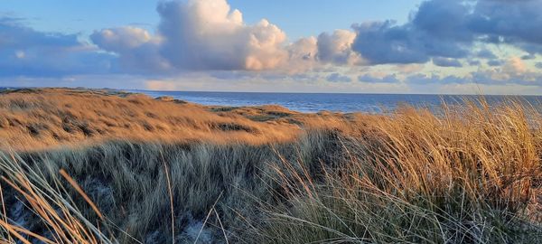 Panoramic view of sea against sky