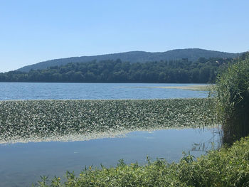 Scenic view of lake and mountains against clear blue sky