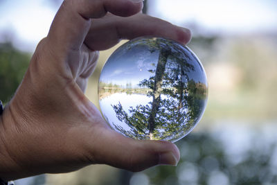 Close-up of hand holding glass with reflection of trees