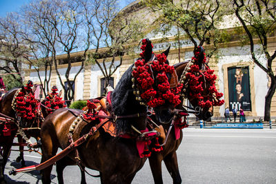 People riding horse