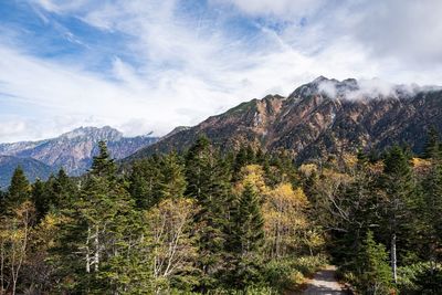 Scenic view of pine trees and mountains against sky