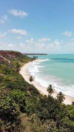 Natural landscape of the coast of brazil