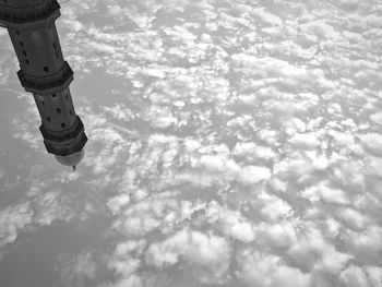 Reflection of trees in water
