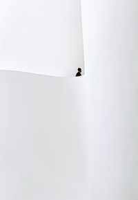 High angle view of figurines on white background