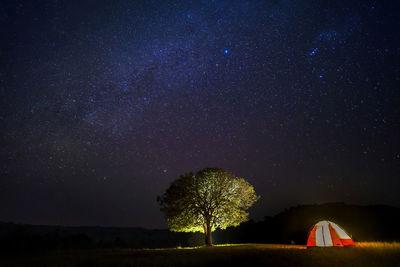 Tree and tent against sky at night