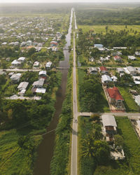 High angle view of trees and buildings in city