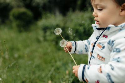 Boy holding dandelion on field