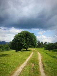 Scenic view of road amidst field against sky