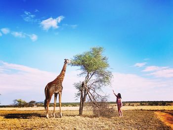 Woman and giraffe standing by tree at serengeti national park against sky