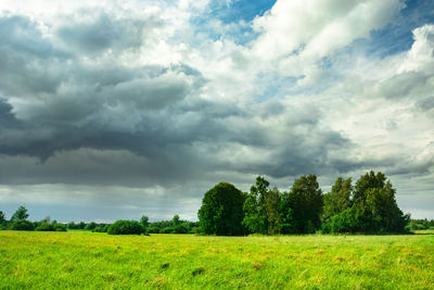 Cloud with rain, green deciduous trees and sunny glade