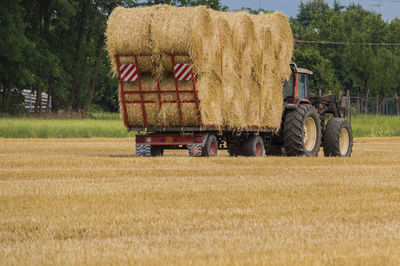 Hay bales on field against trees