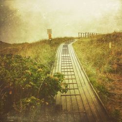 Footpath in field