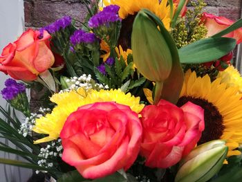 Close-up of multi colored tulips