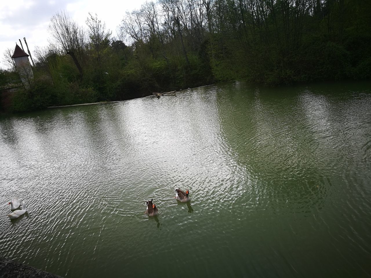 HIGH ANGLE VIEW OF PEOPLE AT LAKE