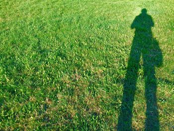 Shadow of man on grass