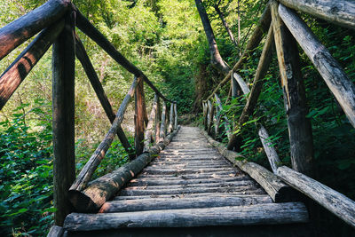 Wooden bridge in the river alento park in abruzzo